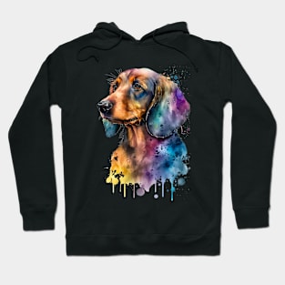 Rainbow Dachshund Watercolor Art Hoodie